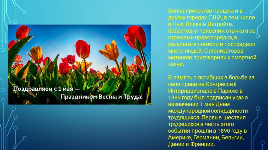 Слайд5