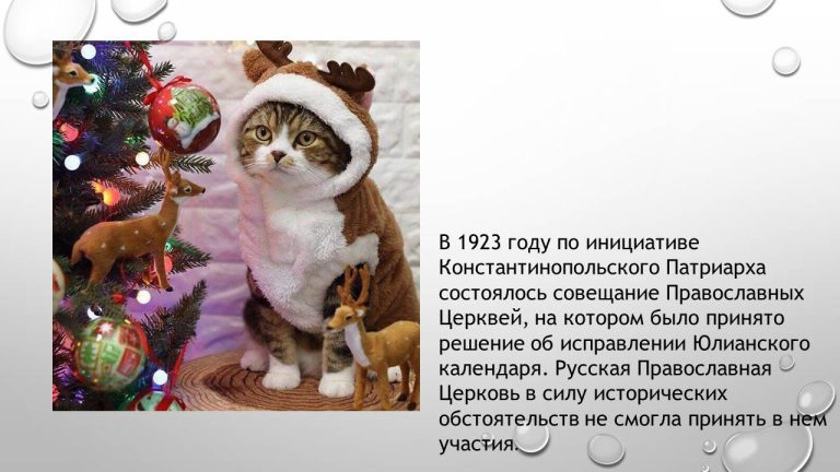 Слайд107..