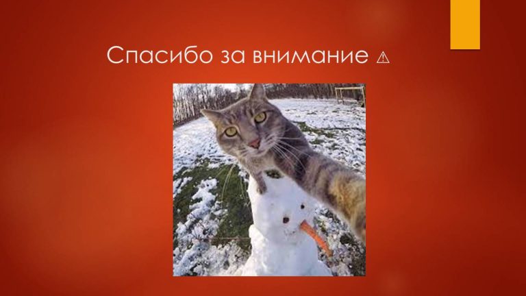 Слайд83..
