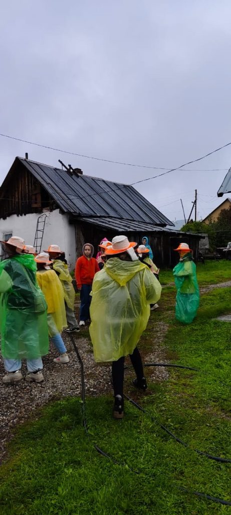 5б, 9г.Путешествие на пасеку в Баяново3