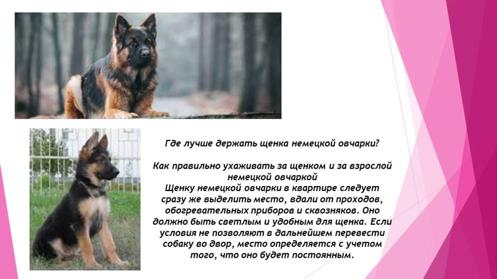 Слайд10с