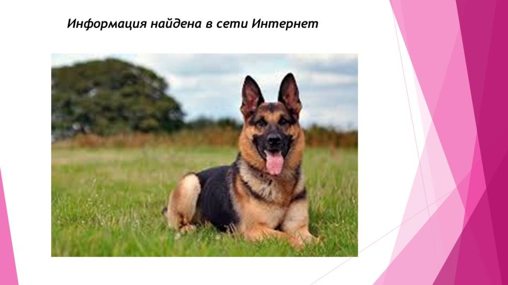 Слайд12с