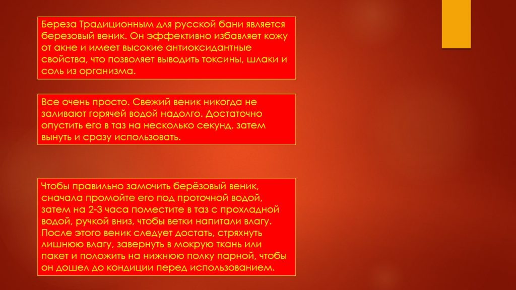 Слайд13б
