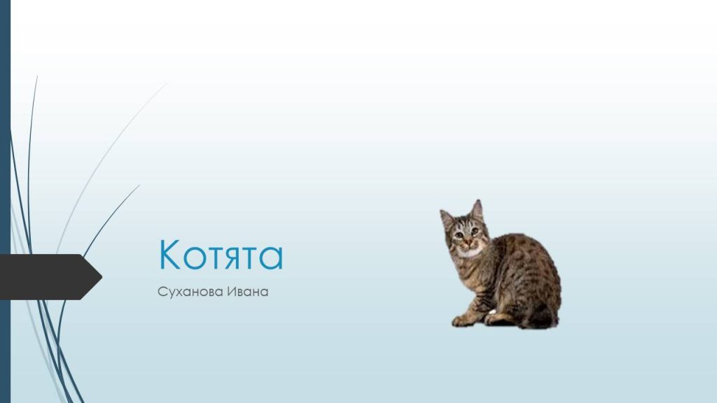 Слайд13с