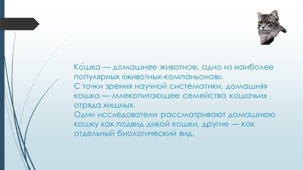 Слайд14с