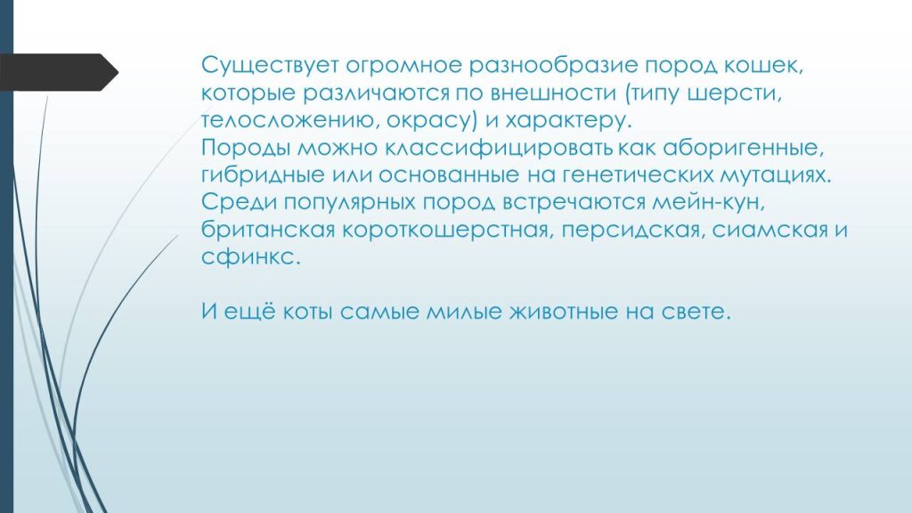 Слайд15с