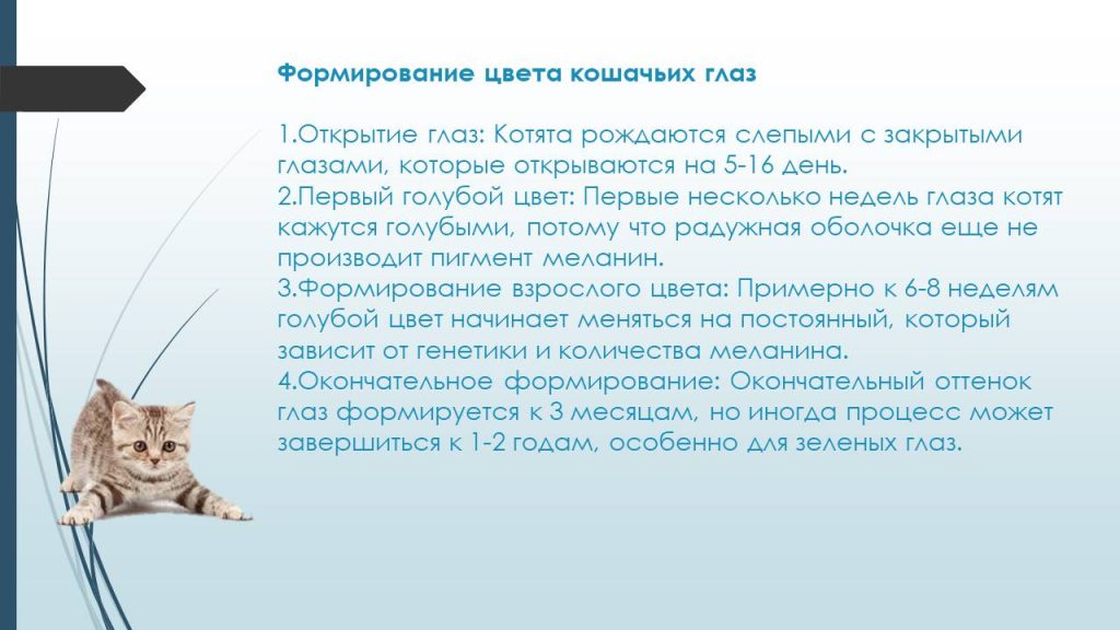 Слайд16с