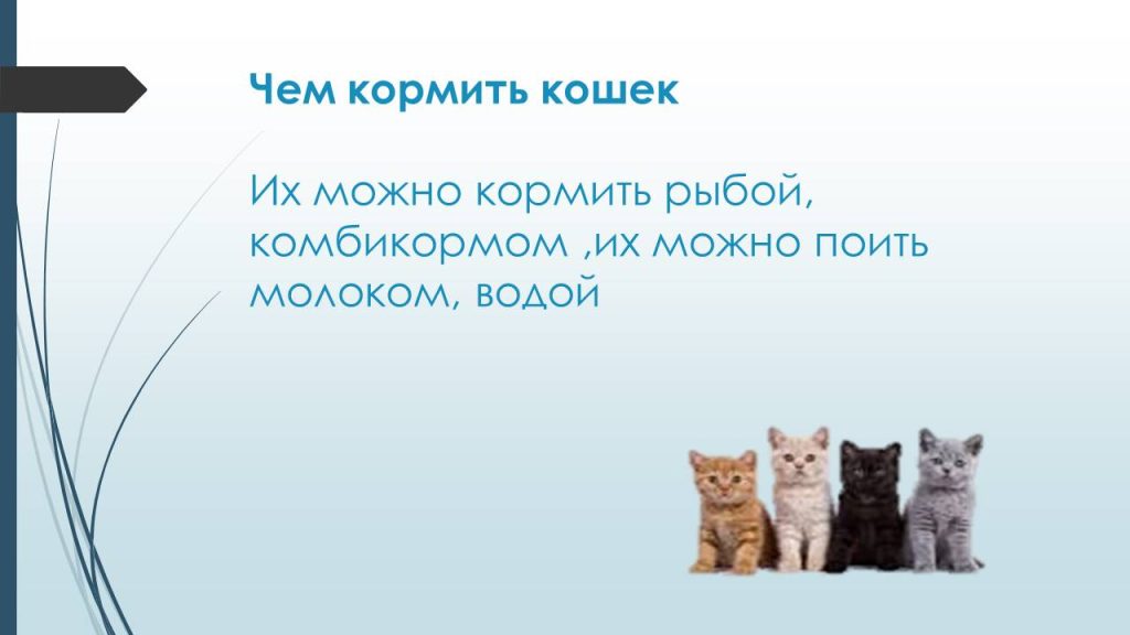 Слайд17с