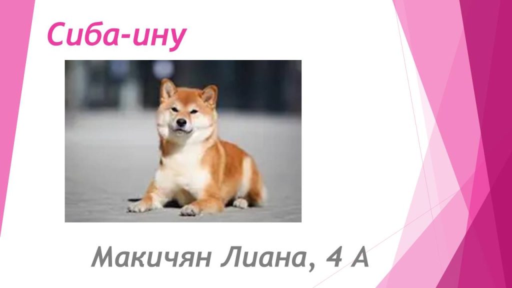 Слайд1с