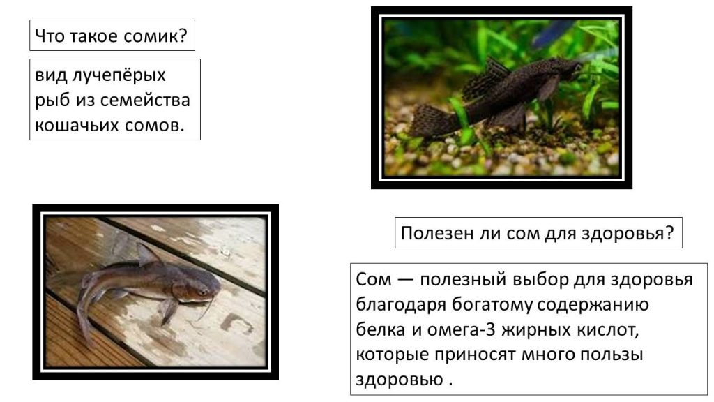 Слайд2р