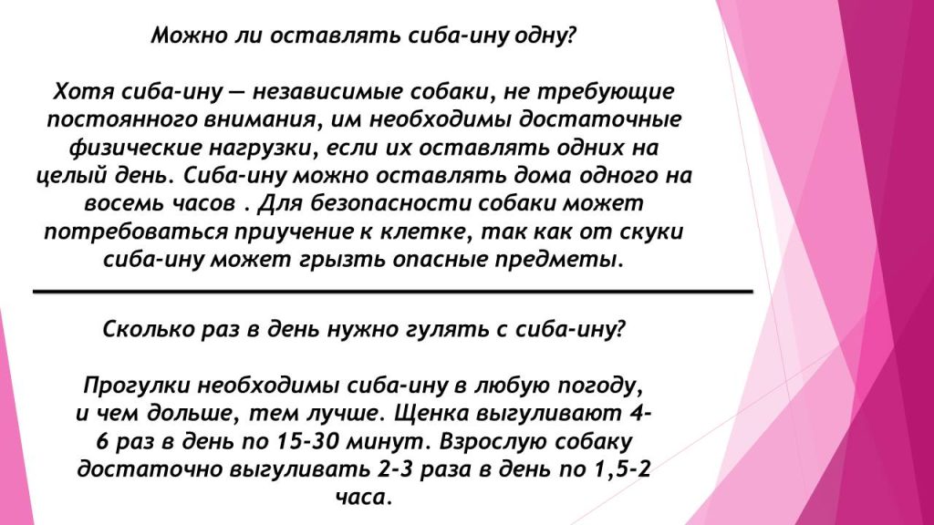 Слайд2с