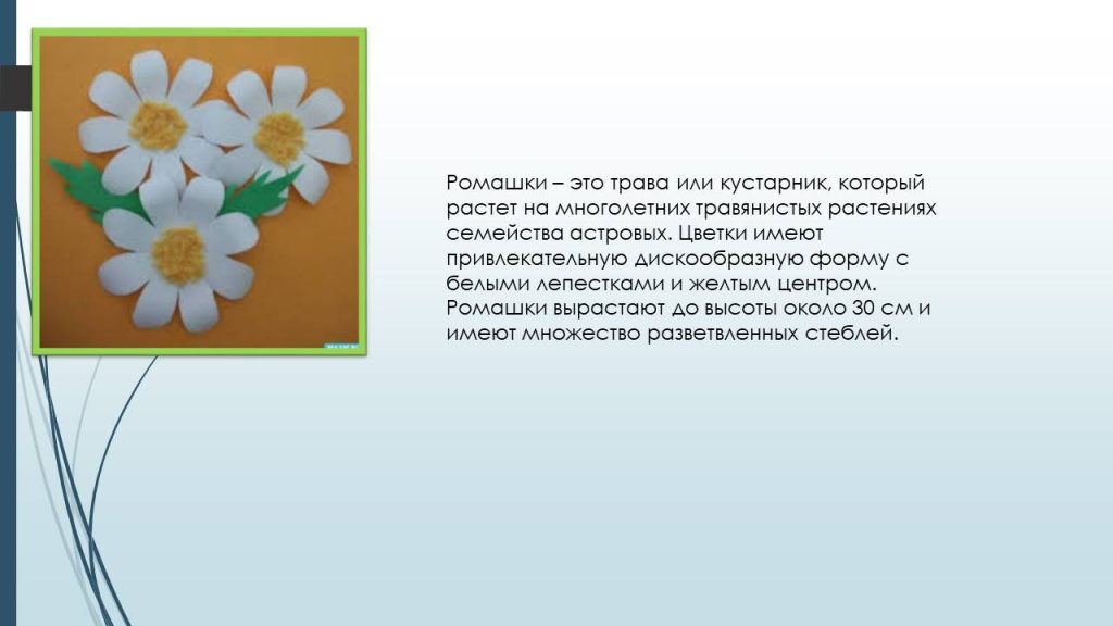 Слайд2ц