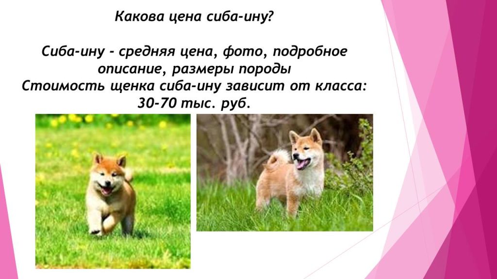 Слайд3с