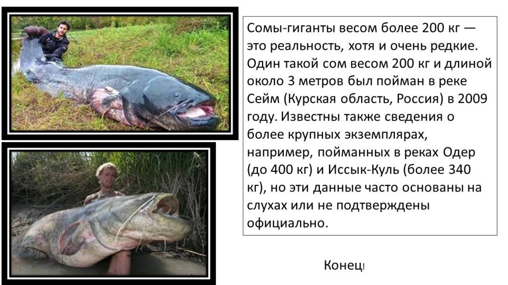 Слайд4р