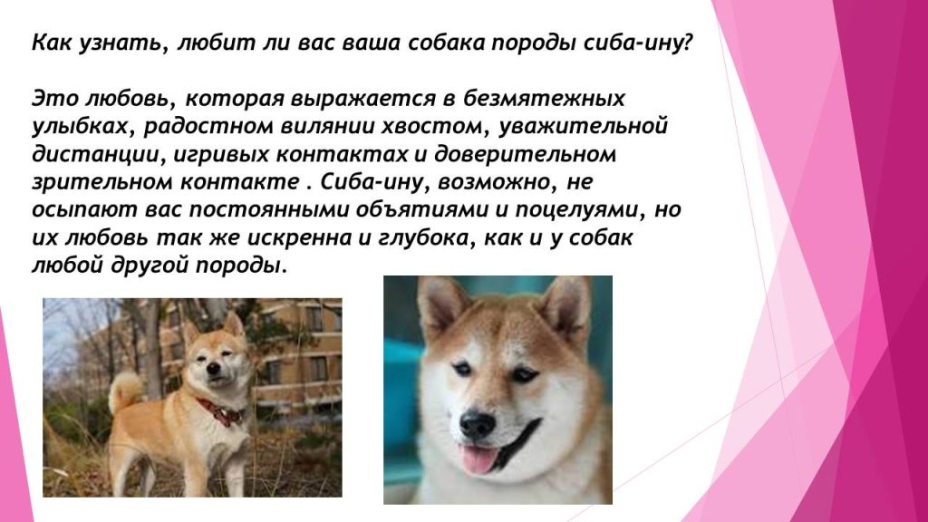 Слайд4с