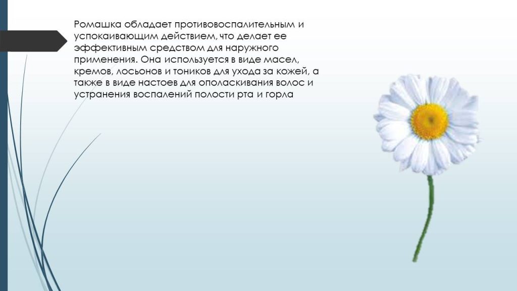 Слайд4ц