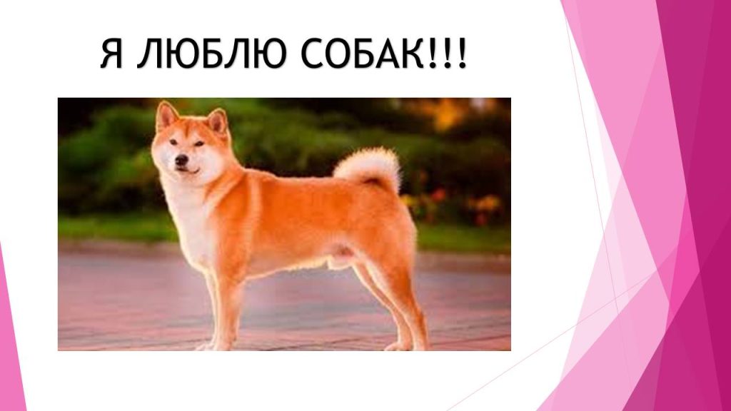 Слайд5с