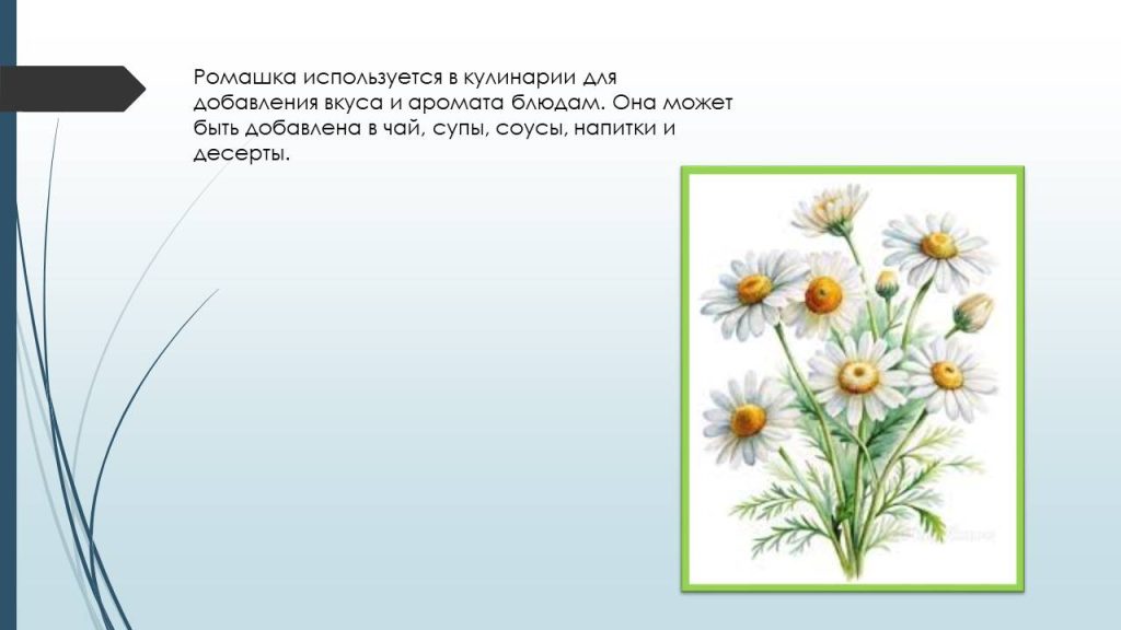 Слайд5ц