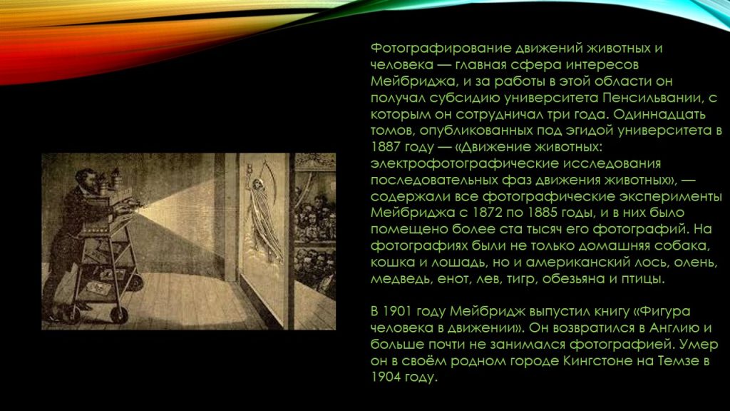Слайд6л
