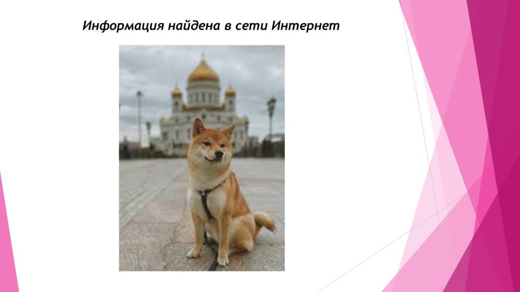 Слайд6с