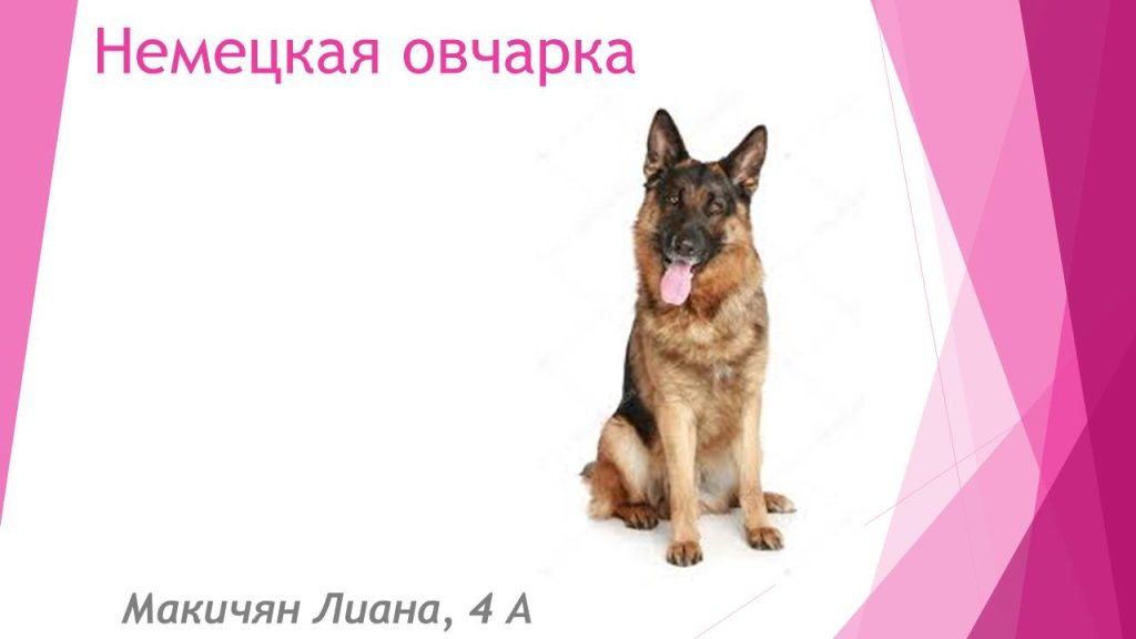 Слайд7с