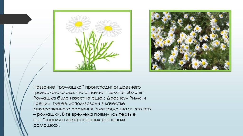 Слайд7ц