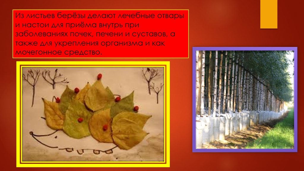 Слайд8б