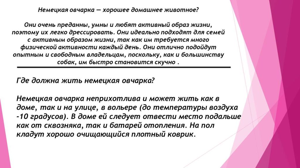 Слайд8с