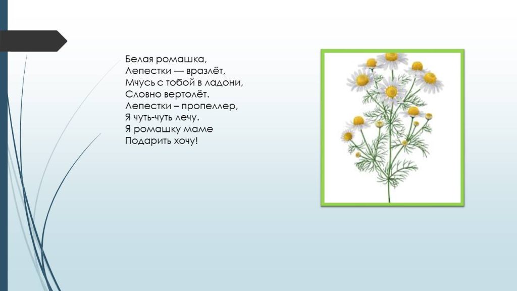Слайд8ц