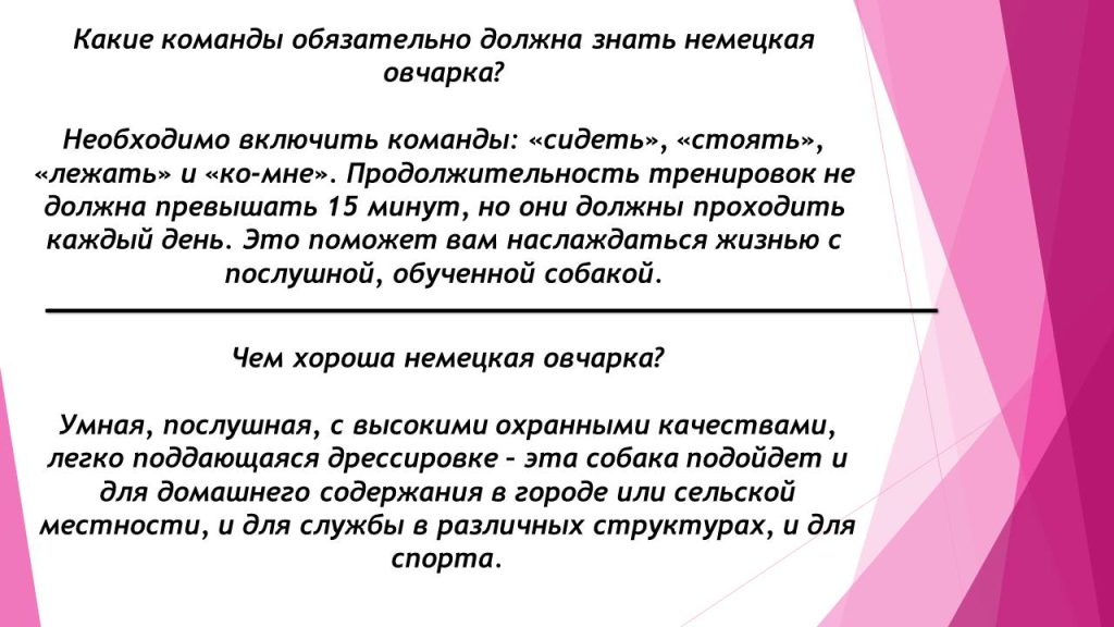 Слайд9с