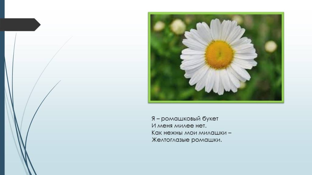 Слайд9ц