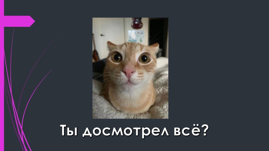 Слайд6-1